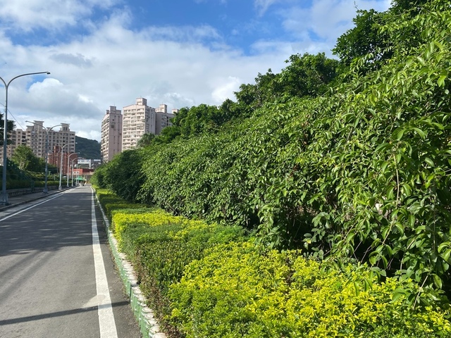 2025年11月09日蒜香藤花況