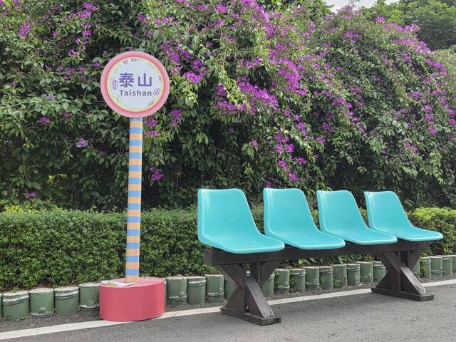 2025年11月17日蒜香藤花況