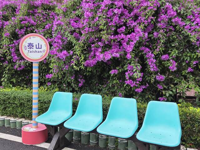 2025年11月18日蒜香藤花況