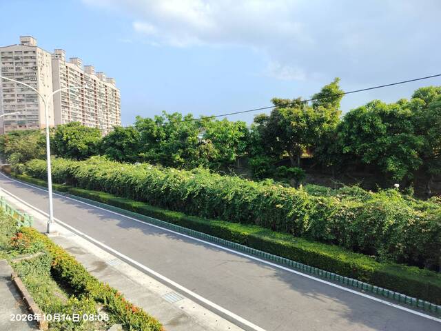 2026年10月14日蒜香藤花況-9