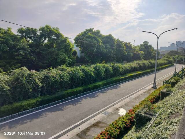 2026年10月14日蒜香藤花況-10