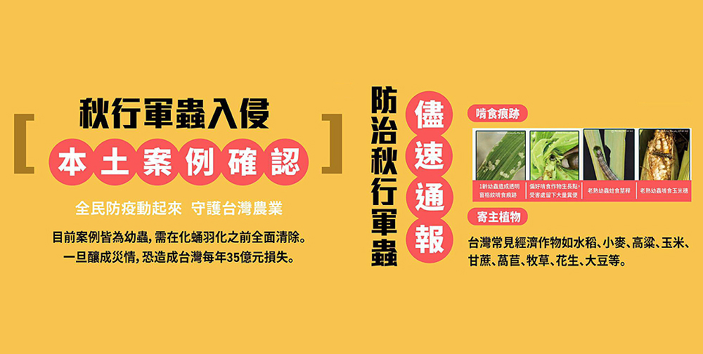 懸賞「秋行軍蟲」(另開視窗)