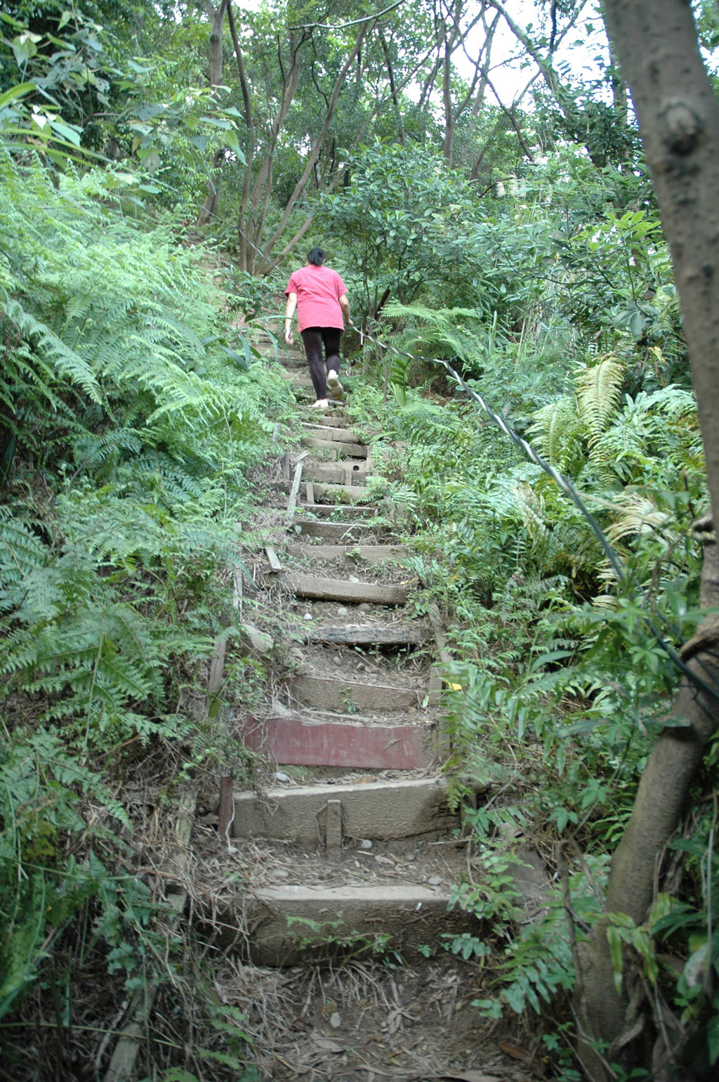 尖凍山步道