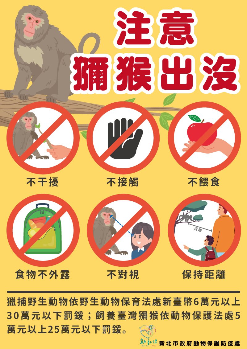 獼猴出沒注意原則